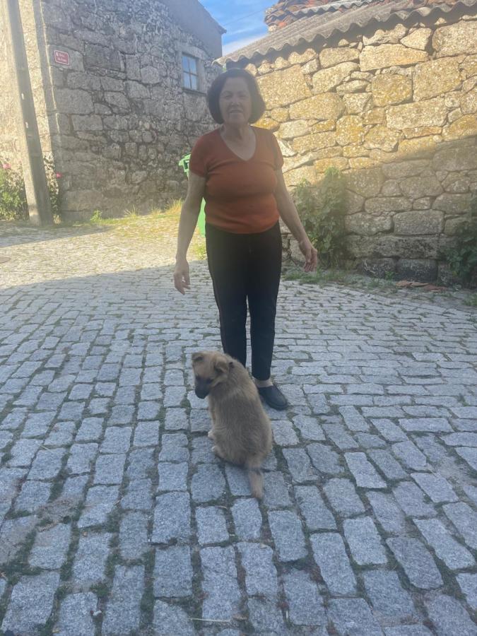 Willa Casa Da Burra Alijó Zewnętrze zdjęcie